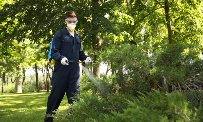 Pest control website sample